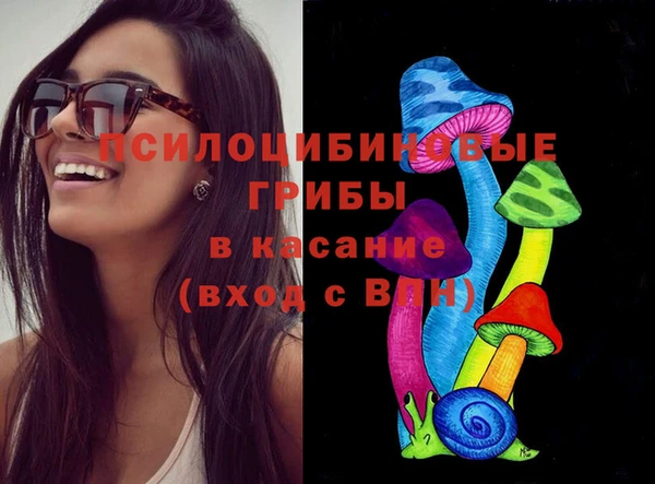 крисы Верхний Тагил